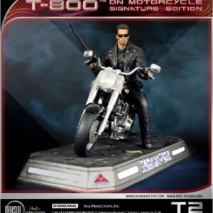 x dsc t2 001