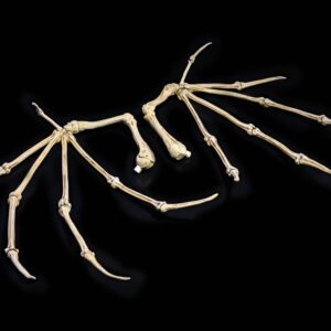 Akciófigura kiegészítők