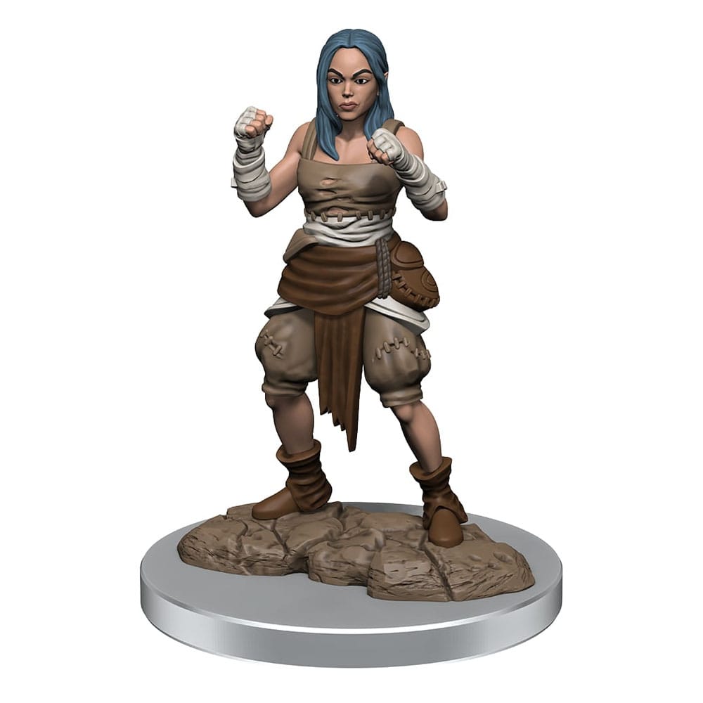 Pathfinder Battles Deep Cuts Unpainted Miniatures 2-Packs Half-Elf Monk ...