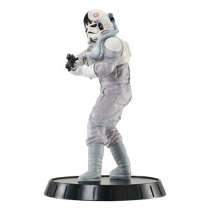 x gentaug242593 a