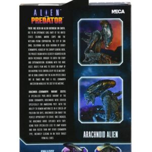 x neca51717 l