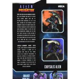 x neca51717 x