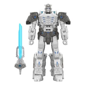 x hasg1007 c