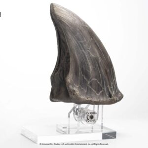 x tonajpecct rex1 i