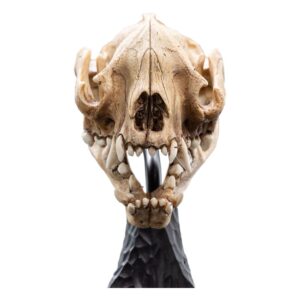 x weta861304598 a
