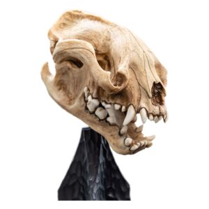 x weta861304598 b