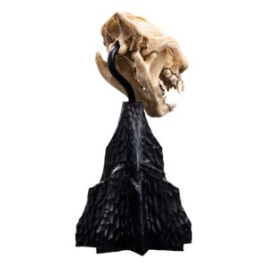 x weta861304598 f
