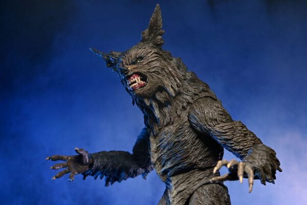 x neca07100 06 h