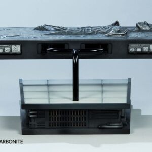 x ss100310 p