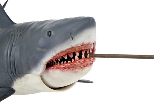 x neca03338 01 g