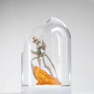 x tonaecc toothfairymaquette s