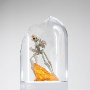 x tonaecc toothfairymaquette t