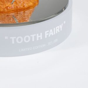 x tonaecc toothfairymaquette y