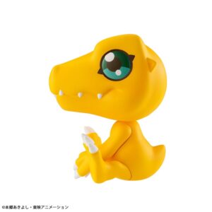 x meho844317 f