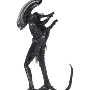 x neca51598 b