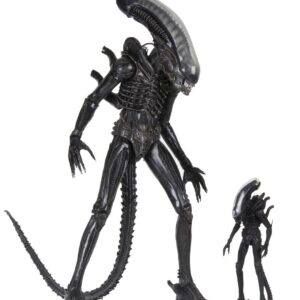 x neca51598 c