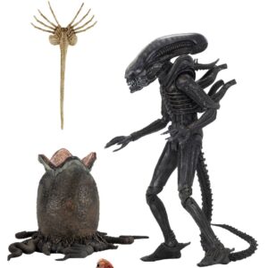 x neca51646