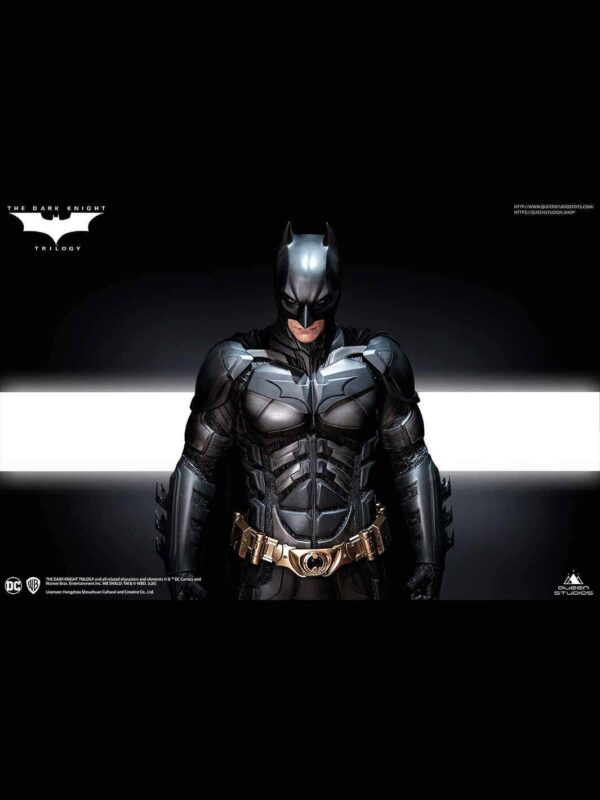 x qs dark knight reg d