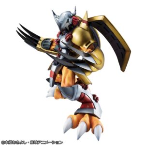 x meho843815 c