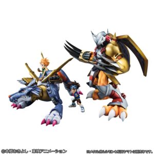 x meho843815 i