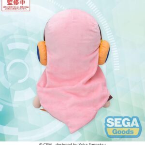 x sega45800 c