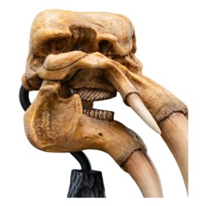 x weta861304691 b