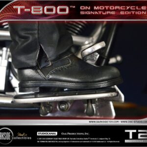 x dsc t2 001 d