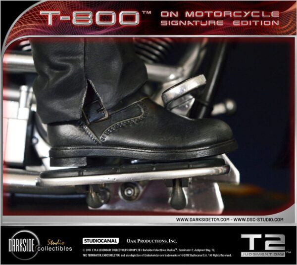 x dsc t2 001 d