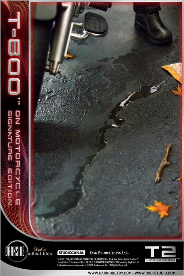 x dsc t2 001 l