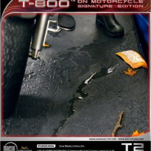 x dsc t2 001 m