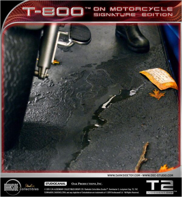 x dsc t2 001 m