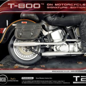 x dsc t2 001 w