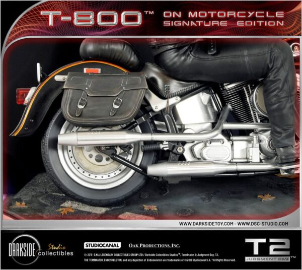 x dsc t2 001 w