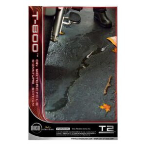 x dsc t2 001ex m