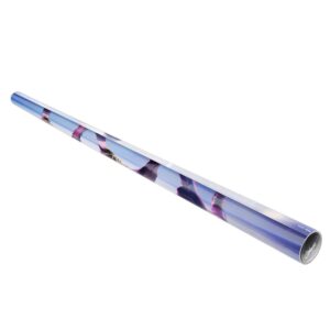 x pp2501680 b