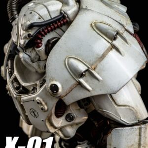 x 3z10030w0 k