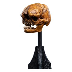 x weta871304690 b