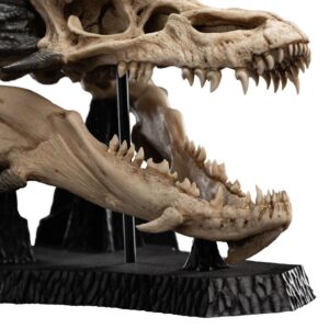 x weta871304760 f