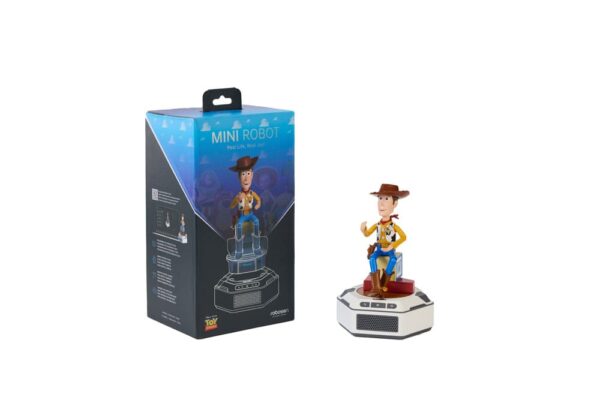 x rbsn mini woody set en f