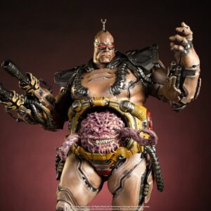 x pcstmntlegkr13dx i