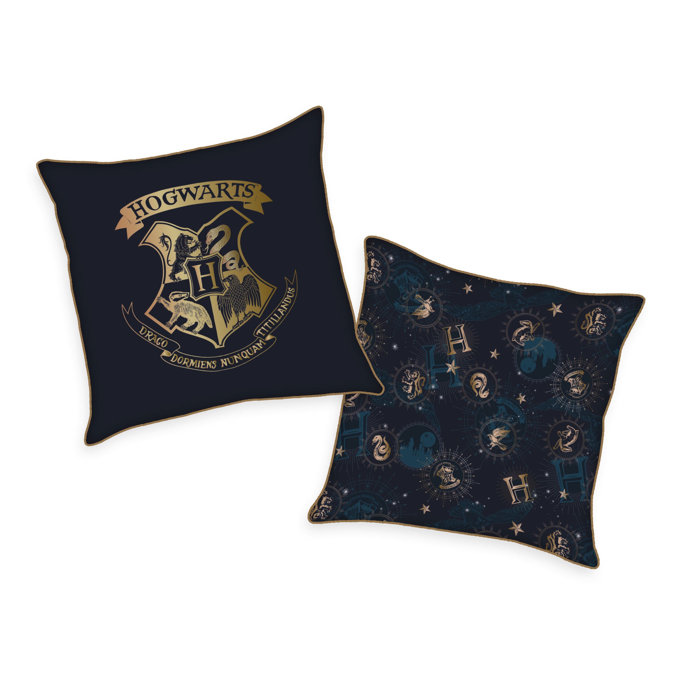 Harry Potter Soft Velboa Pillows Roxfort 40 x 40 cm