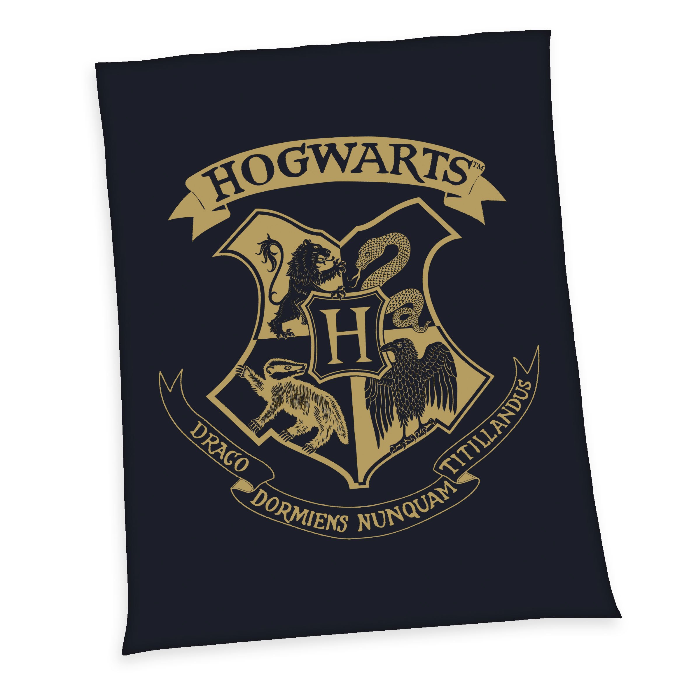 Harry Potter Fleece Takaró Roxfort 150 x 200 cm