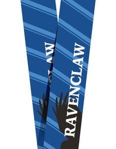 Lanyard