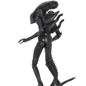 x neca51646 b
