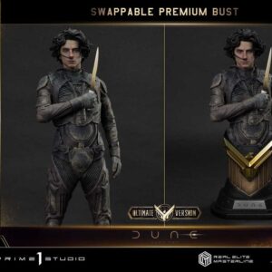 x p1sremdune2 01ut r