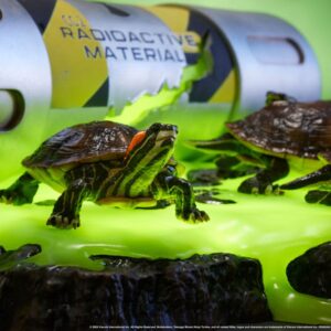 x pcstmntbbdio11ex c