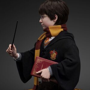 x qs harrypotter bust b