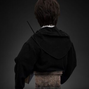 x qs harrypotter bust f