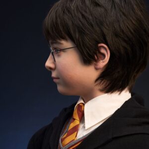 x qs harrypotter bust j