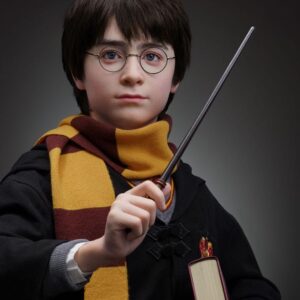 x qs harrypotter bust m